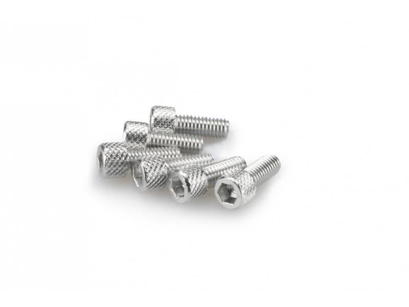 Screws PUIG ANODIZED 0363P argintiu M6 x 15mm (6pcs)