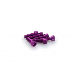 Screws PUIG ANODIZED 0364L violet M6 x 20mm (6pcs) Screws PUIG ANODIZED 0364L violet M6 x 20mm (6pcs)