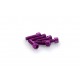 Screws PUIG ANODIZED 0364L violet M6 x 20mm (6pcs)