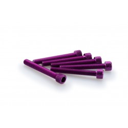 Screws PUIG ANODIZED 0370L violet M6 x 45mm (6pcs) Screws PUIG ANODIZED 0370L violet M6 x 45mm (6pcs)