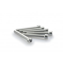 Screws PUIG ANODIZED 0370P argintiu M6 x 45mm (6pcs) Screws PUIG ANODIZED 0370P argintiu M6 x 45mm (6pcs)