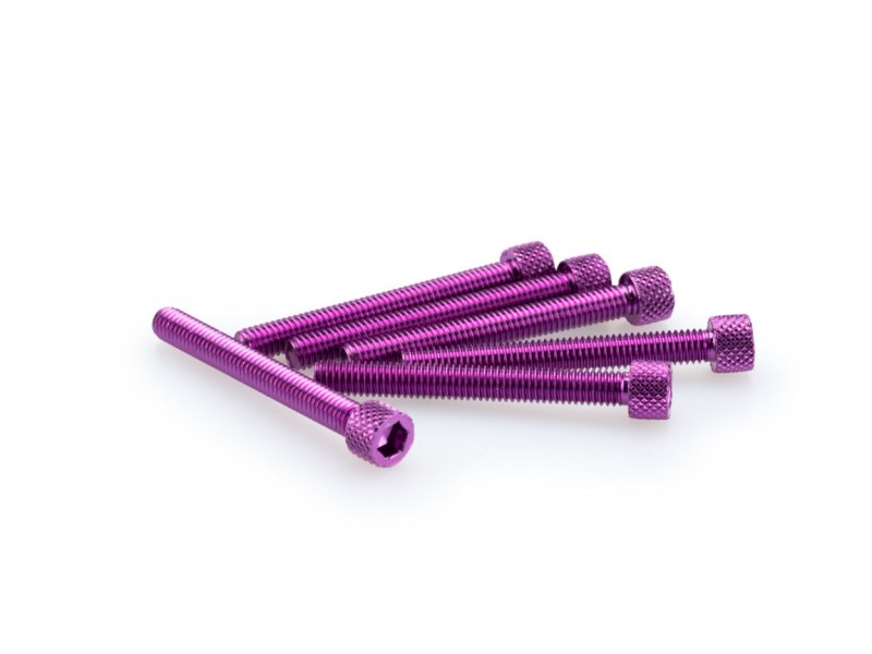 Screws PUIG ANODIZED 0421L violet M6 x 50mm (6pcs) Screws PUIG ANODIZED 0421L violet M6 x 50mm (6pcs)