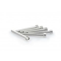 Screws PUIG ANODIZED 0421P argintiu M6 x 50mm (6pcs) Screws PUIG ANODIZED 0421P argintiu M6 x 50mm (6pcs)