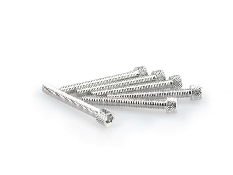 Screws PUIG ANODIZED 0421P argintiu M6 x 50mm (6pcs) Screws PUIG ANODIZED 0421P argintiu M6 x 50mm (6pcs)