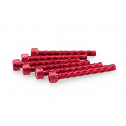 Screws PUIG ANODIZED 0421R Rosu M6 x 50mm (6pcs) Screws PUIG ANODIZED 0421R Rosu M6 x 50mm (6pcs)