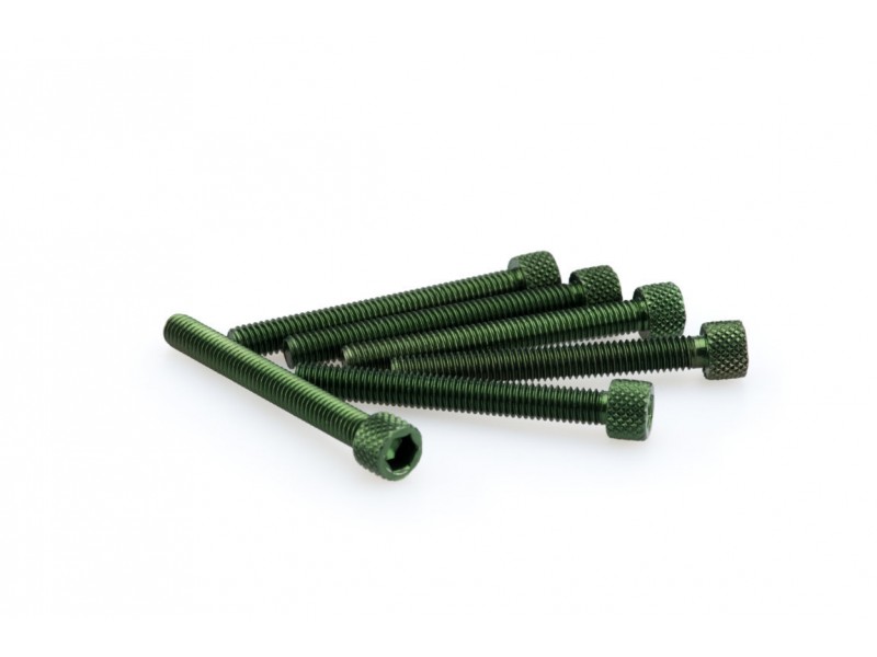 Screws PUIG ANODIZED 0421V verde M6 x 50mm (6pcs)