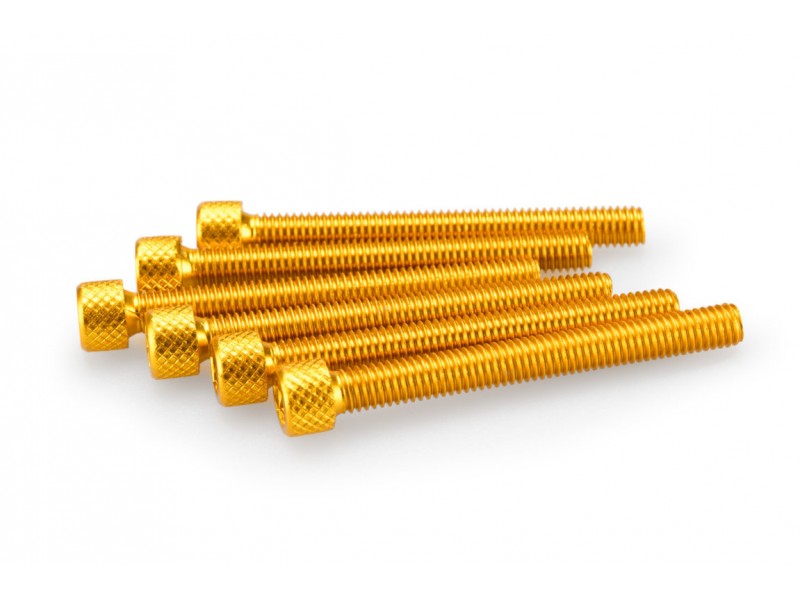 Screws PUIG ANODIZED 0446G galben M6 x 55mm (6pcs)