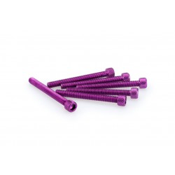 Screws PUIG ANODIZED 0446L violet M6 x 55mm (6pcs) Screws PUIG ANODIZED 0446L violet M6 x 55mm (6pcs)