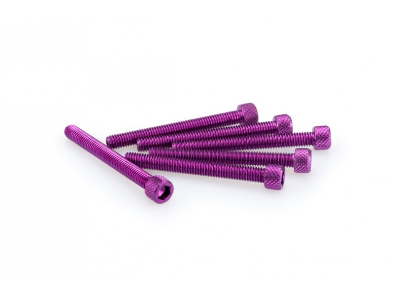 Screws PUIG ANODIZED 0446L violet M6 x 55mm (6pcs)