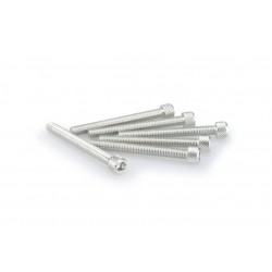 Screws PUIG ANODIZED 0446P argintiu M6 x 55mm (6pcs) Screws PUIG ANODIZED 0446P argintiu M6 x 55mm (6pcs)