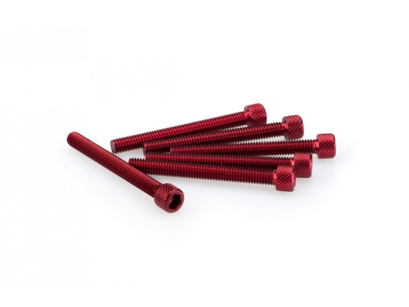 Screws PUIG ANODIZED 0446R Rosu M6 x 55mm (6pcs) Screws PUIG ANODIZED 0446R Rosu M6 x 55mm (6pcs)