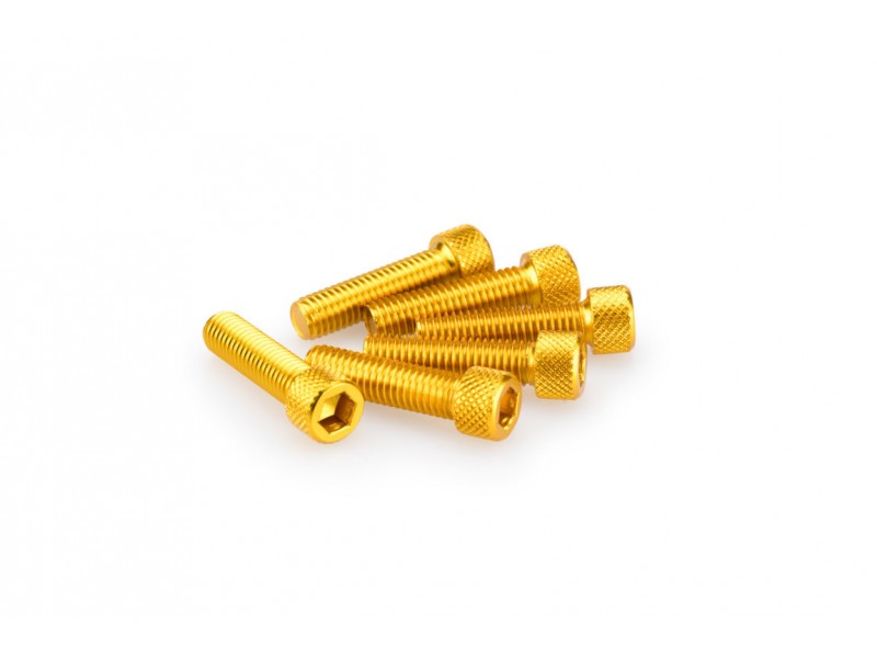 Screws PUIG ANODIZED 0473G galben M8 x 30mm (6pcs) Screws PUIG ANODIZED 0473G galben M8 x 30mm (6pcs)