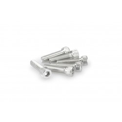Screws PUIG ANODIZED 0473P argintiu M8 x 30mm (6pcs) Screws PUIG ANODIZED 0473P argintiu M8 x 30mm (6pcs)