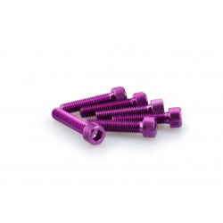 Screws PUIG ANODIZED 0500L violet M8 x 35mm (6pcs) Screws PUIG ANODIZED 0500L violet M8 x 35mm (6pcs)