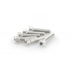 Screws PUIG ANODIZED 0500P argintiu M8 x 35mm (6pcs) Screws PUIG ANODIZED 0500P argintiu M8 x 35mm (6pcs)