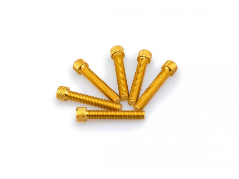 Screws PUIG ANODIZED 0516G galben M8 x 45mm (6pcs) Screws PUIG ANODIZED 0516G galben M8 x 45mm (6pcs)