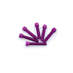 Screws PUIG ANODIZED 0516L violet M8 x 45mm (6pcs) Screws PUIG ANODIZED 0516L violet M8 x 45mm (6pcs)