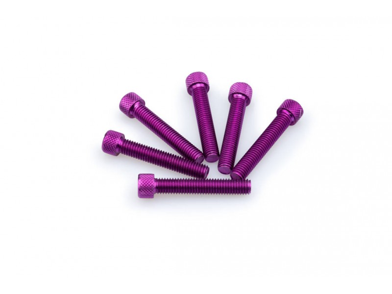 Screws PUIG ANODIZED 0516L violet M8 x 45mm (6pcs)