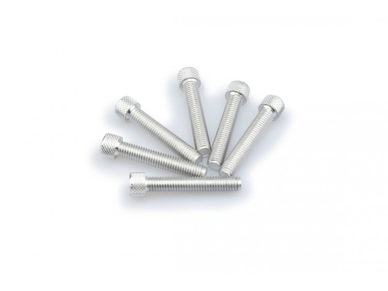 Screws PUIG ANODIZED 0516P argintiu M8 x 45mm (6pcs) Screws PUIG ANODIZED 0516P argintiu M8 x 45mm (6pcs)