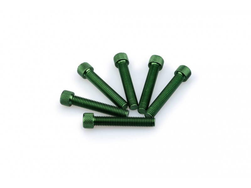 Screws PUIG ANODIZED 0516V verde M8 x 45mm (6pcs)