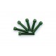 Screws PUIG ANODIZED 0516V verde M8 x 45mm (6pcs)