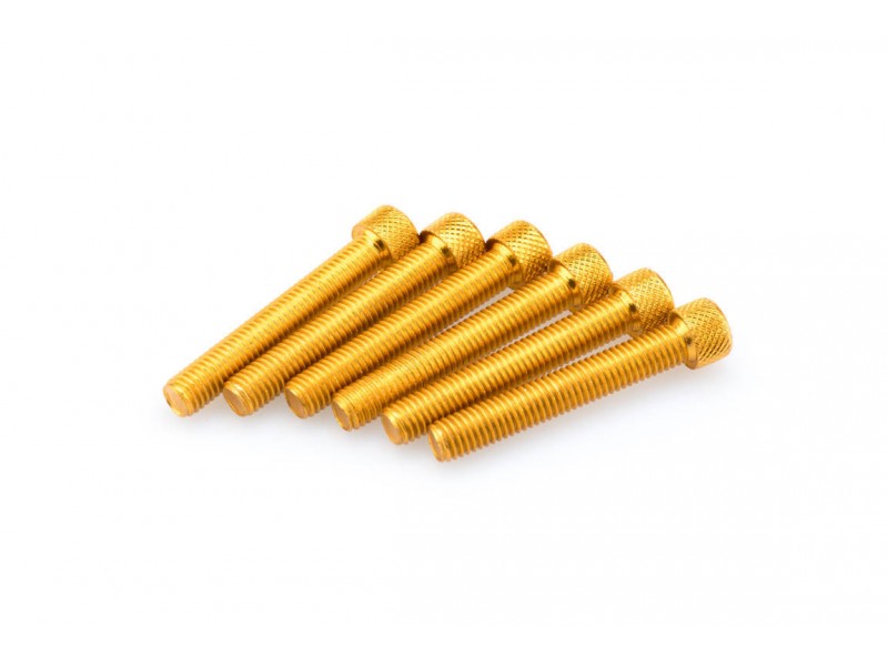 Screws PUIG ANODIZED 0524G galben M8 x 50mm (6pcs) Screws PUIG ANODIZED 0524G galben M8 x 50mm (6pcs)