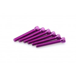 Screws PUIG ANODIZED 0540L violet M8 x 55mm (6pcs) Screws PUIG ANODIZED 0540L violet M8 x 55mm (6pcs)