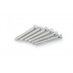 Screws PUIG ANODIZED 0540P argintiu M8 x 55mm (6pcs) Screws PUIG ANODIZED 0540P argintiu M8 x 55mm (6pcs)