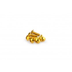 Screws PUIG ANODIZED 0543G galben M5 x 15mm (6pcs) Screws PUIG ANODIZED 0543G galben M5 x 15mm (6pcs)