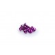 Screws PUIG ANODIZED 0543L violet M5 x 15mm (6pcs) Screws PUIG ANODIZED 0543L violet M5 x 15mm (6pcs)