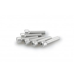 Screws PUIG ANODIZED 0544P argintiu M6 x 25mm (6pcs) Screws PUIG ANODIZED 0544P argintiu M6 x 25mm (6pcs)