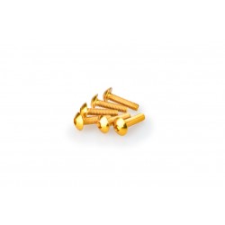 Screws PUIG ANODIZED 0550G galben M5 x 20mm (6pcs) Screws PUIG ANODIZED 0550G galben M5 x 20mm (6pcs)