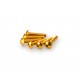 Screws PUIG ANODIZED 0610G galben M5 x 25mm (6pcs)