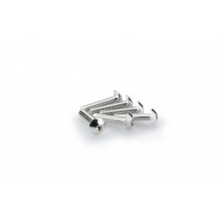 Screws PUIG ANODIZED 0610P argintiu M5 x 25mm (6pcs) Screws PUIG ANODIZED 0610P argintiu M5 x 25mm (6pcs)