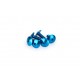 Screws PUIG ANODIZED 0611A Albastru M6 x 15mm (6pcs)