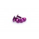 Screws PUIG ANODIZED 0611L violet M6 x 15mm (6pcs) Screws PUIG ANODIZED 0611L violet M6 x 15mm (6pcs)