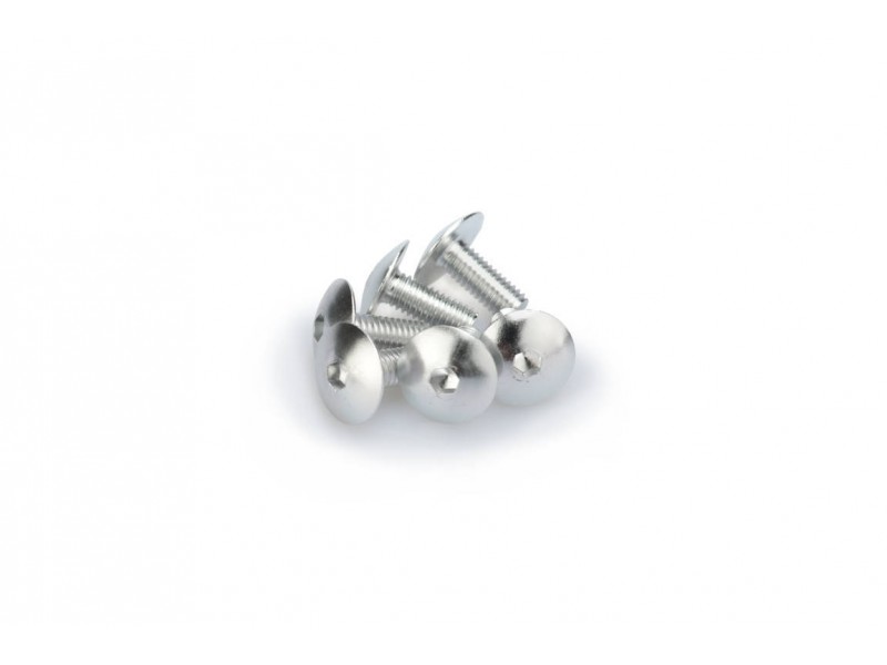 Screws PUIG ANODIZED 0611P argintiu M6 x 15mm (6pcs) Screws PUIG ANODIZED 0611P argintiu M6 x 15mm (6pcs)