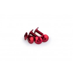Screws PUIG ANODIZED 0611R Rosu M6 x 15mm (6pcs) Screws PUIG ANODIZED 0611R Rosu M6 x 15mm (6pcs)