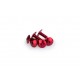 Screws PUIG ANODIZED 0611R Rosu M6 x 15mm (6pcs) Screws PUIG ANODIZED 0611R Rosu M6 x 15mm (6pcs)