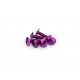 Screws PUIG ANODIZED 0657L violet M6 x 20mm (6pcs) Screws PUIG ANODIZED 0657L violet M6 x 20mm (6pcs)