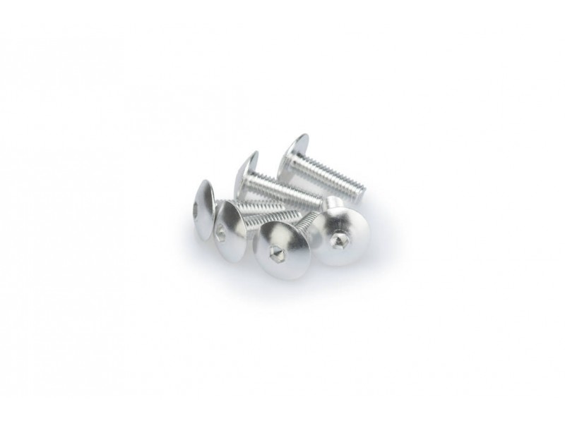 Screws PUIG ANODIZED 0657P argintiu M6 x 20mm (6pcs) Screws PUIG ANODIZED 0657P argintiu M6 x 20mm (6pcs)