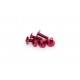 Screws PUIG ANODIZED 0657R Rosu M6 x 20mm (6pcs) Screws PUIG ANODIZED 0657R Rosu M6 x 20mm (6pcs)
