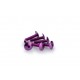 Screws PUIG ANODIZED 0689L violet M6 x 25mm (6pcs) Screws PUIG ANODIZED 0689L violet M6 x 25mm (6pcs)