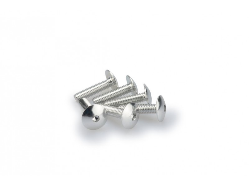 Screws PUIG ANODIZED 0689P argintiu M6 x 25mm (6pcs) Screws PUIG ANODIZED 0689P argintiu M6 x 25mm (6pcs)