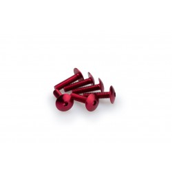 Screws PUIG ANODIZED 0689R Rosu M6 x 25mm (6pcs) Screws PUIG ANODIZED 0689R Rosu M6 x 25mm (6pcs)