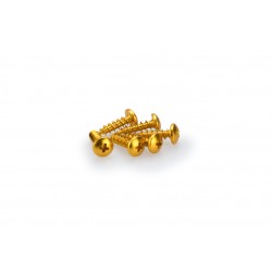 Screws PUIG ANODIZED 2542G galben M6 x 20mm (6pcs) Screws PUIG ANODIZED 2542G galben M6 x 20mm (6pcs)