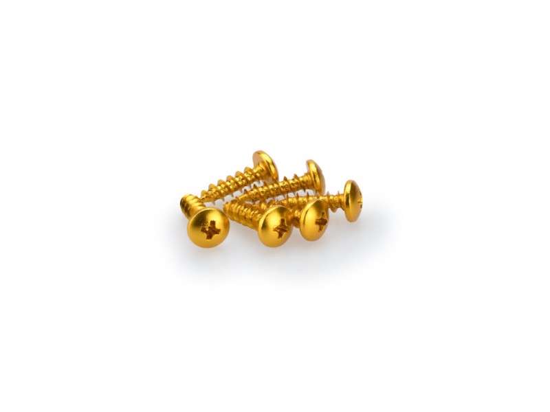 Screws PUIG ANODIZED 2542G galben M6 x 20mm (6pcs)