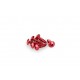 Screws PUIG ANODIZED 2542R Rosu M6 x 20mm (6pcs)