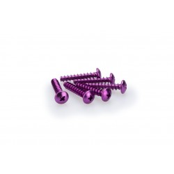 Screws PUIG ANODIZED 2543L violet M6 x 30mm (6pcs) Screws PUIG ANODIZED 2543L violet M6 x 30mm (6pcs)