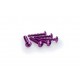 Screws PUIG ANODIZED 2543L violet M6 x 30mm (6pcs)